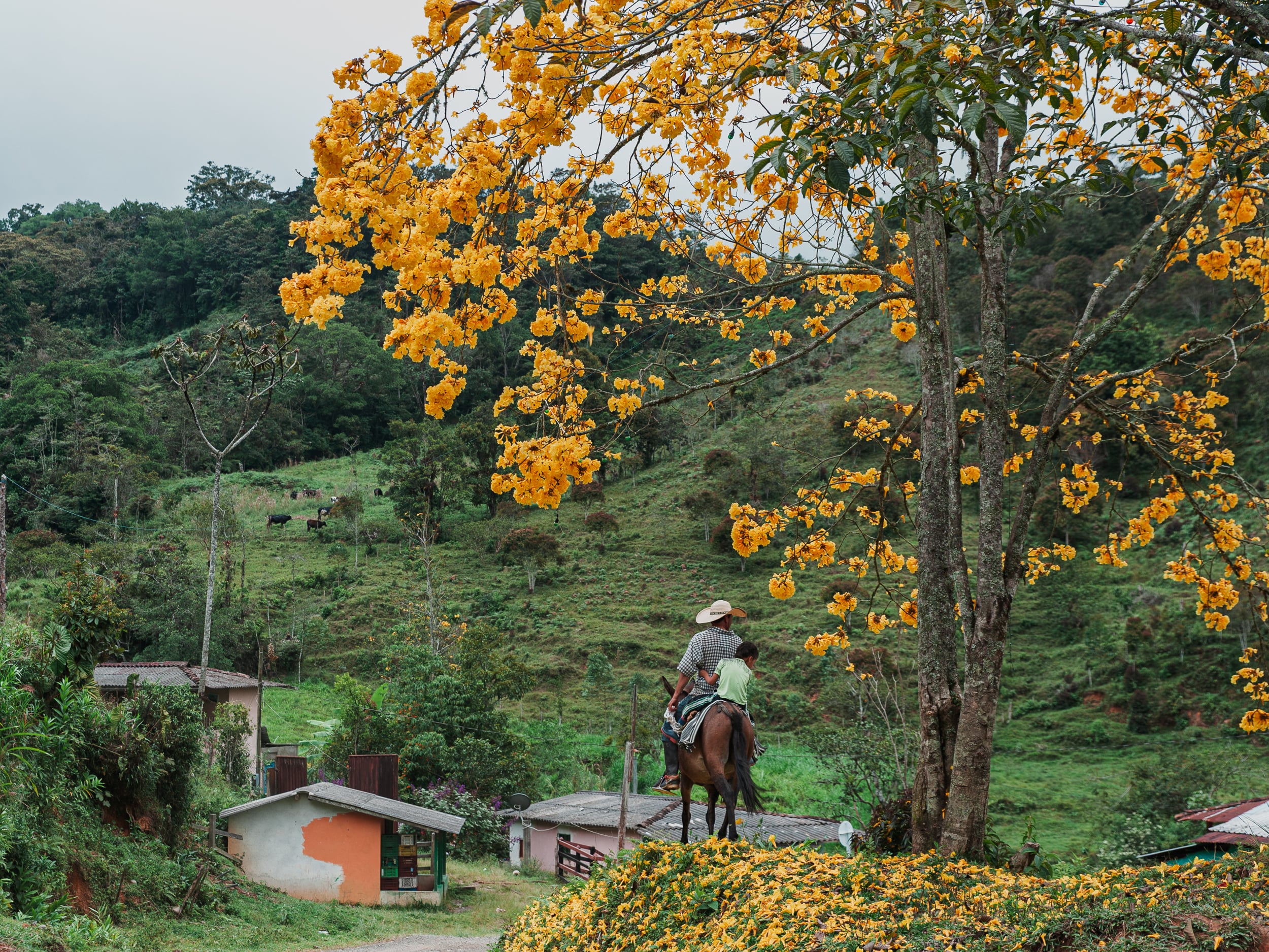 Retrato Antioquia photograph 36